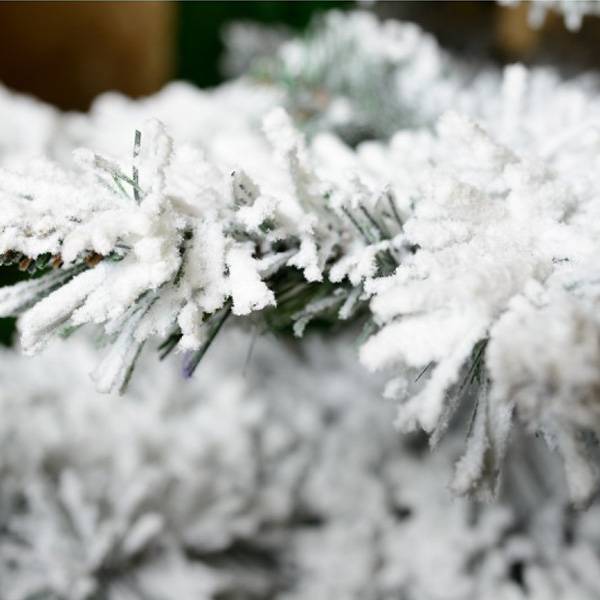 Jodła naturalna ośnieżona - Choinka pokryta śniegiem