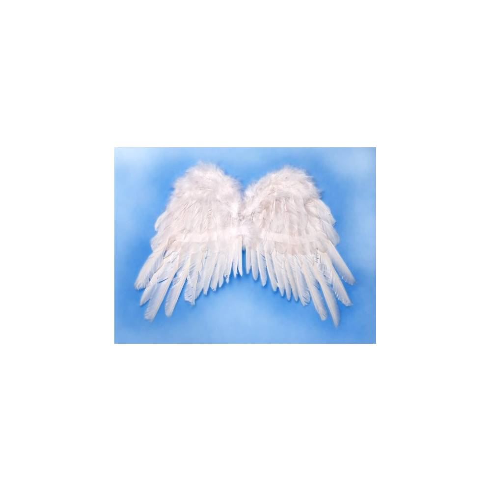 Skrzydła anioła 53x37 cm
