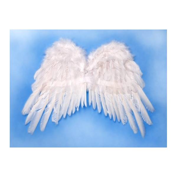 Skrzydła anioła 53x37 cm
